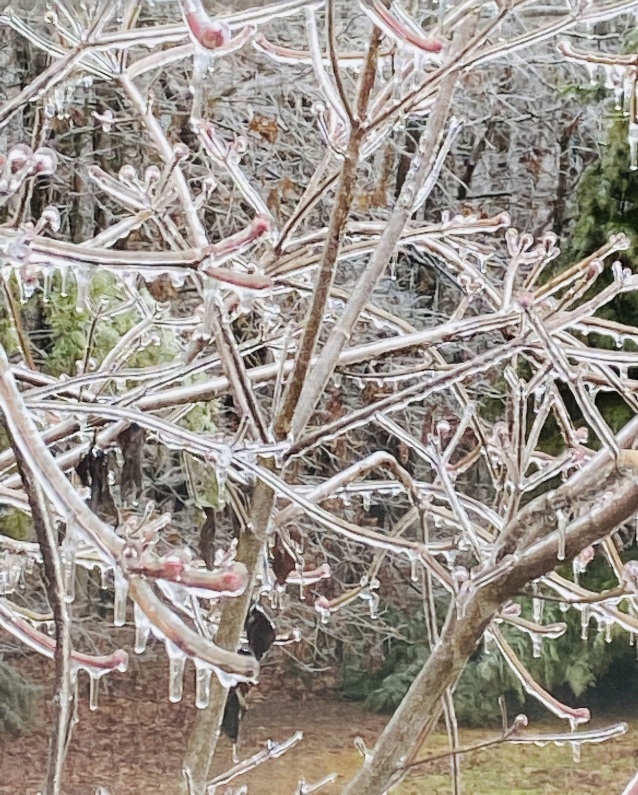 Ice